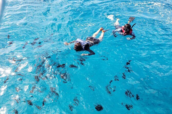 Waikiki Turtle Canyon Snorkeling Adventure - Final Thoughts
