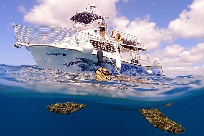 Waikiki Turtle Canyon Snorkeling with Hula Show - Snorkeling at Turtle Canyon
