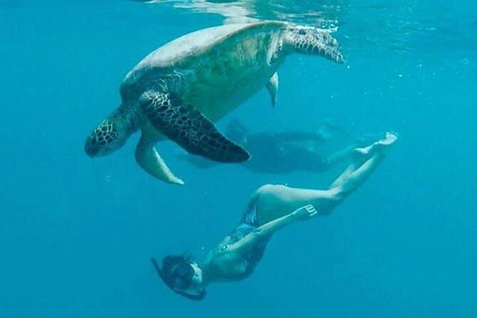 Waikiki Turtle Snorkel & Sail combo on Hawea Catamaran - The Sailing and Coastal Views