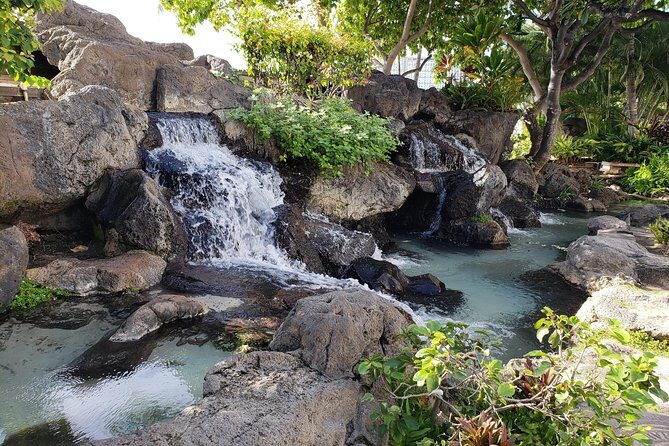 Waikiki Walking Tour, Treats, Free Video and Pics! - What Travelers Say and Why It Matters