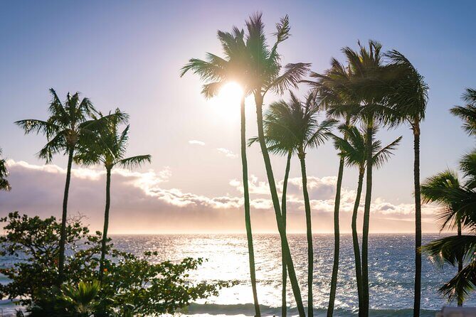 Wailele Luau Including Fire and Knife Performance Plus Dinner - Entertainment: A Visual Feast
