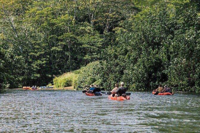 Wailua River: Kayak & Secret Waterfall Adventure - What You Need to Know
