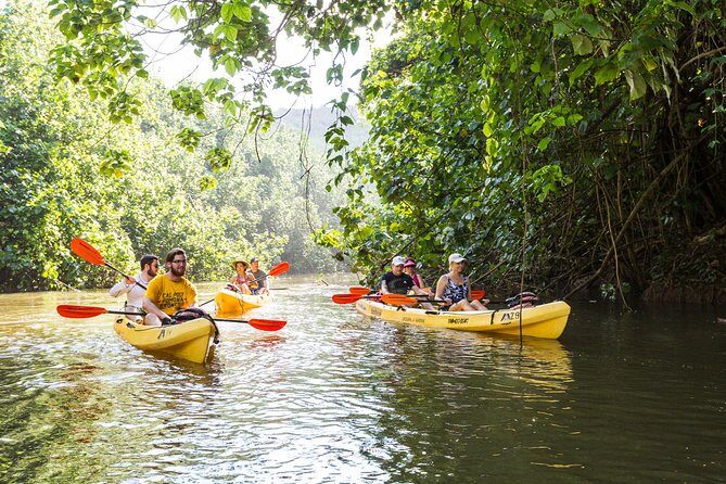 Wailua River Paddle - Who Should Consider This Tour?