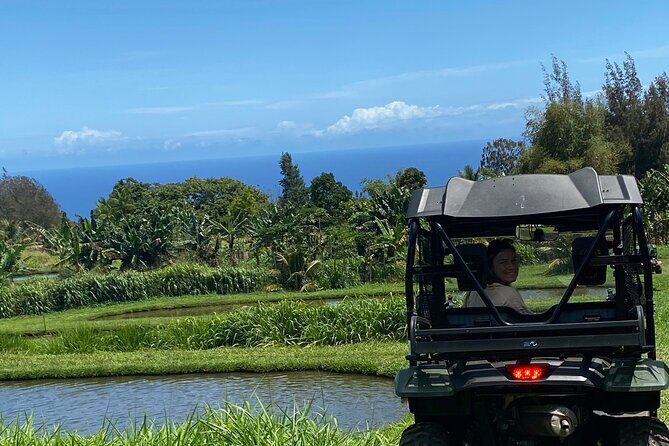 Waipio on Horseback: Mountain Ocean Views Working Cattle Ranch - Is the Price Worth It?