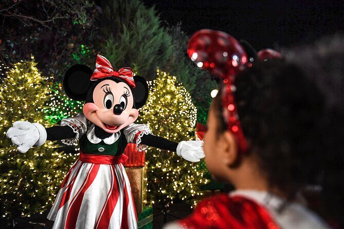 Walt Disney World Special Event Tickets - Who Should Consider This Experience?