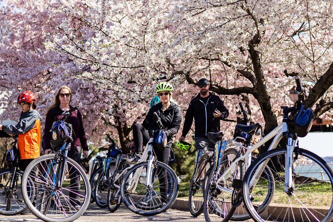 Washington DC Cherry Blossoms By Bike Tour - The Itinerary in Detail