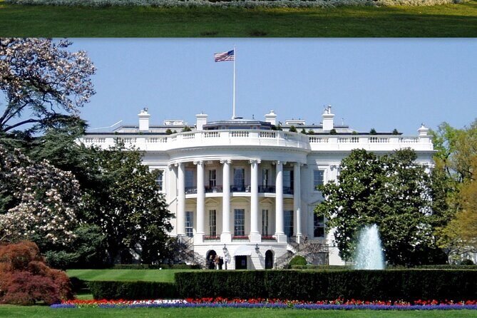 Washington DC Diplomatic and Monuments Guided Tour - Authentic Traveler Tips