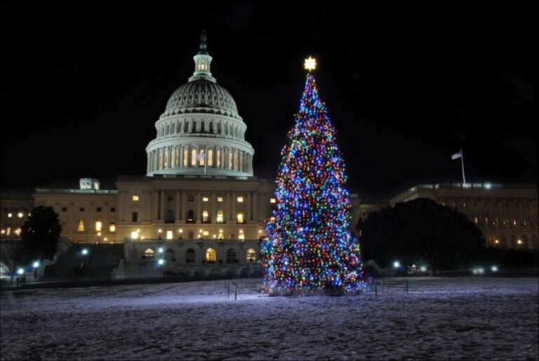 Washington, DC: Holiday Lights Nighttime Bus Tour - Who Will Love This Tour?