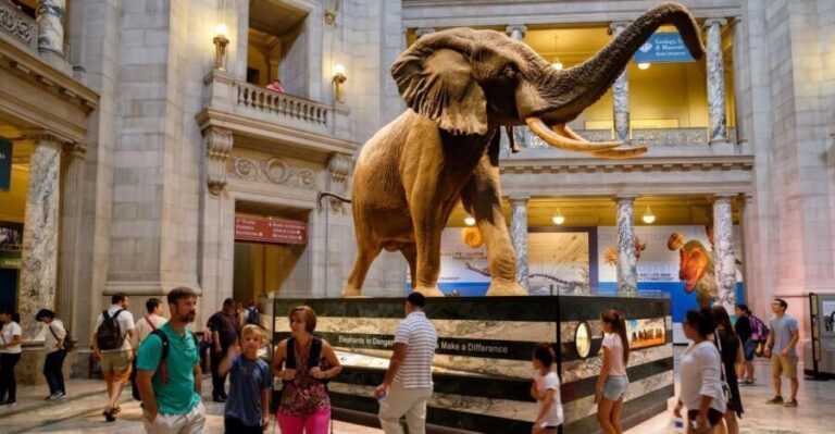 Washington DC: Museum of Natural History Private Guided Tour - Final Thoughts on Value and Who It’s For