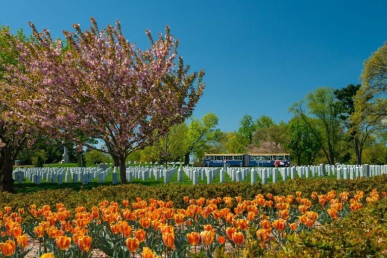 Washington, DC: Old Town Hop-On Hop-Off Trolley City Tour - Arlington National Cemetery: A Worthwhile Upgrade
