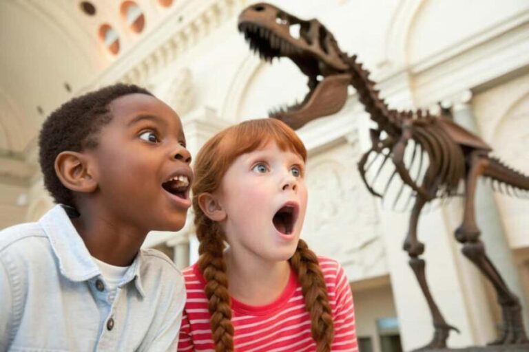 Washington DC Smithsonian Natural History Private Tour - What Makes This Tour Stand Out?