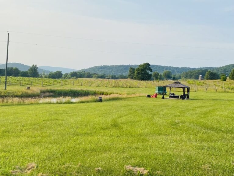 Washington, DC: Virginia Wine Region Experience Tour - Exploring the Virginia Wine Region: What to Expect