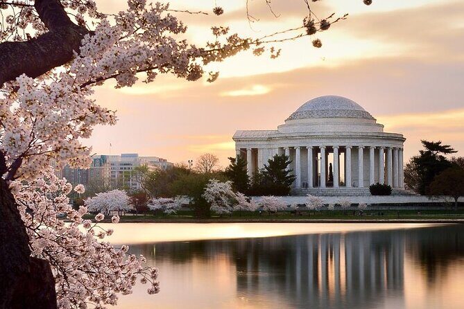 Washington : Private Custom Walking Tour With A Guide (Private) - The Itinerary: How the Experience Unfolds