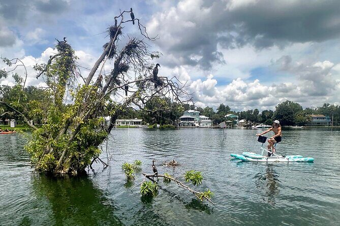 Water Bike Rental in Crystal River - A Balanced View: Pros and Cons