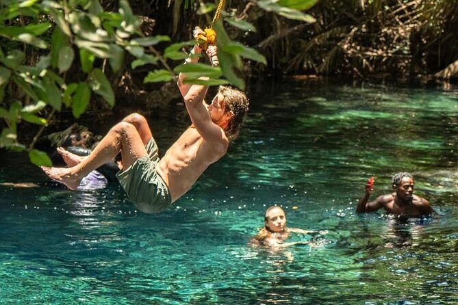 Waterfall, coffee tour & hot springs - lunch and drinks included - What Travelers Say