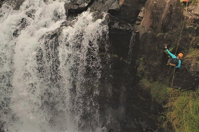 Waterfall Rappelling at Kulaniapia Falls: 120 Foot Drop, 15 Minutes from Hilo - A Detailed Look at the Itinerary and What to Expect