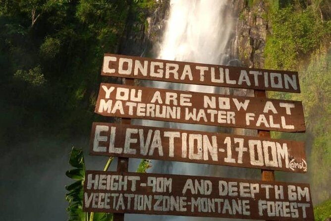 Waterfalls, Coffee, Hotsprings, Food Cuisine, & Serval Wildlife - What Makes This Tour Stand Out?