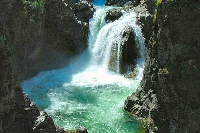 Waterfalls, Coombs and Cathedral Grove Rainforest Tour - What’s Included and What to Expect