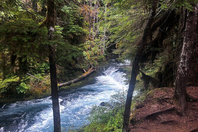 Waterfalls & the McKenzie River in a Tesla - Evaluating the Value