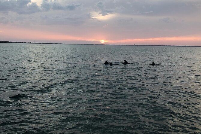 Waverunner Dolphin Tour - FAQs