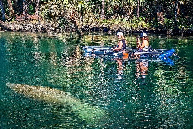 Weeki Wachee Clear Kayak Ecotours Manatee Season - November 14th-March 31st - A Detailed Look at the Itinerary and Experience