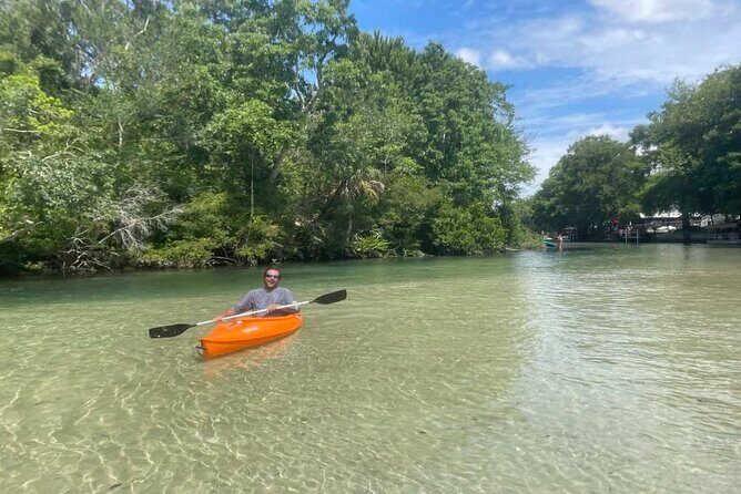Weeki Wachee kayaking - What Travelers Are Saying
