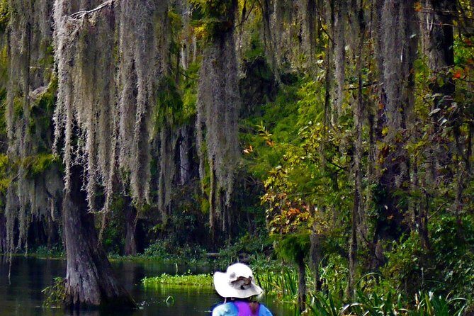 Wekiva River Guided Kayak Tour - Why the Wekiva River Tour Stands Out