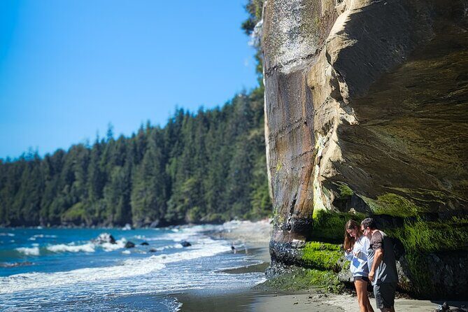 West Coast Wildlife Rainforest Waterfall and Beaches - The Final Verdict