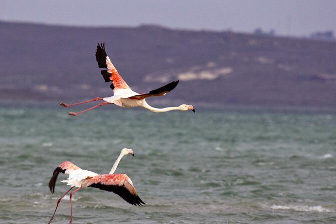 West Coast Wonders Full Day Tour with Private Transfer - Authentic Experiences From the Reviews