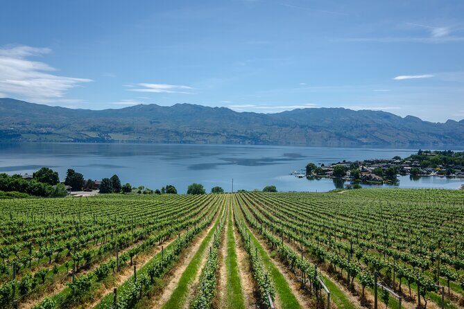 West Kelowna Full Day Lunch Wine Tour-Incl Tastings & Guide Grat - The Transportation & Group Size
