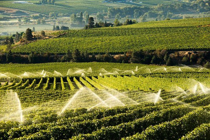 West Kelowna Wine Tour - Classic - 4 Wineries - Final Thoughts