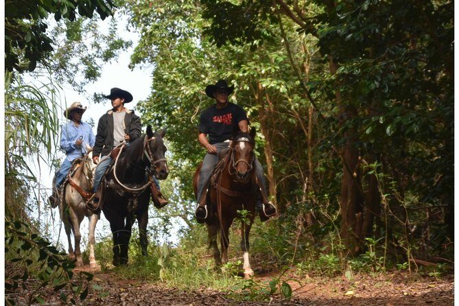 West Maui Mountain Waterfall and Ocean Tour via Horseback - A Breakdown of the Itinerary