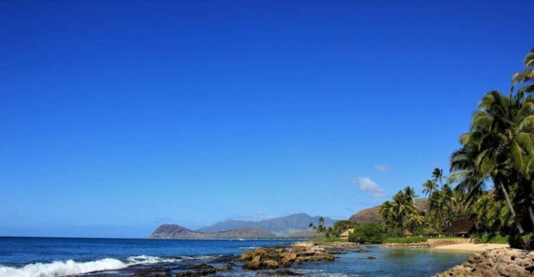 West Oahu: Dolphin Watch & Snorkel Sail - Snorkeling and Marine Wildlife