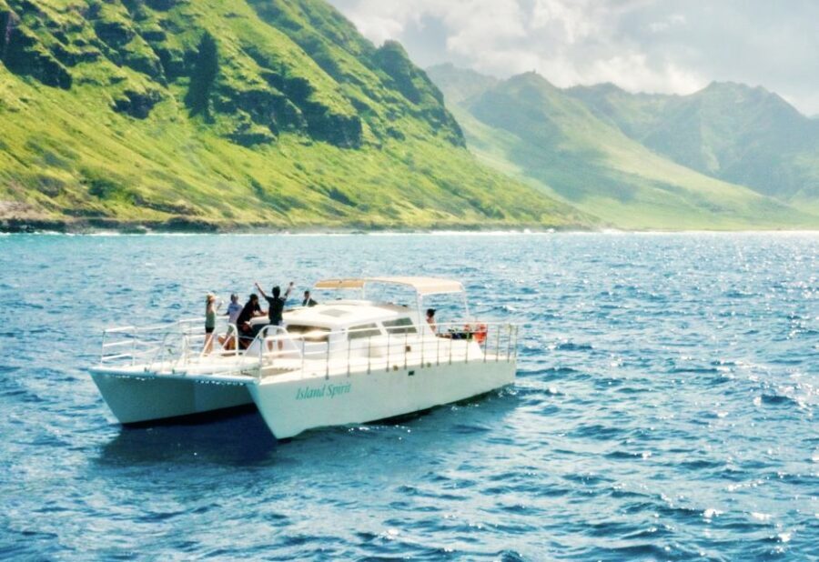 West O'ahu: Dolphin Watching and Snorkeling Catamaran Cruise - The Experience in Practice