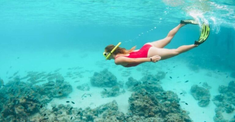 West Oahu: Turtles, Dolphins, and Snorkeling Tour with Lunch - The Value of the Experience