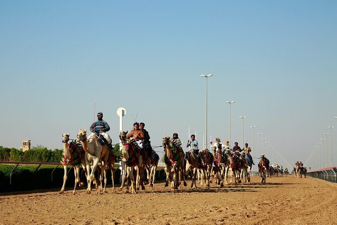 West of Qatar Tour - Key Highlights of the Tour