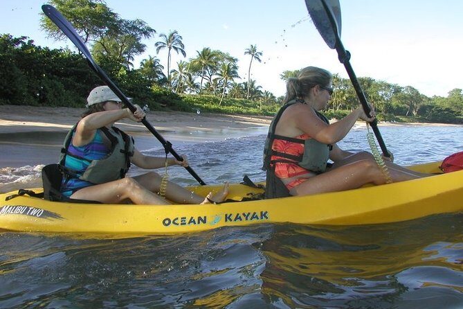 West Side Discovery Kayak & Snorkel Tour - The Sum Up