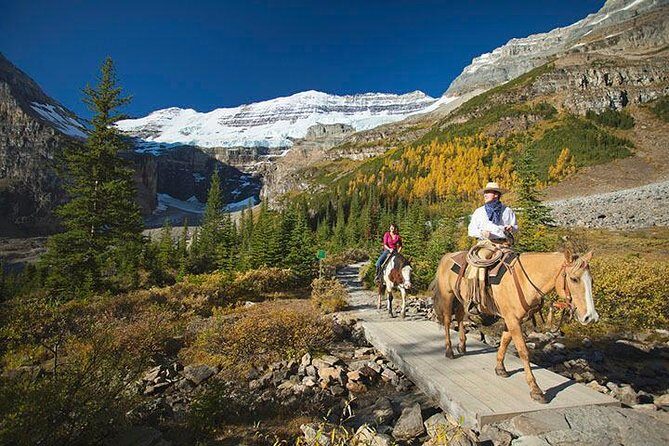 Western Trails - One Way Vancouver To Calgary Rockies Bus Tour - Final Thoughts