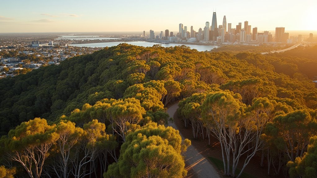 western australian native flora