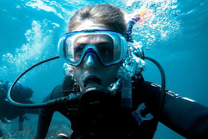 Whale and Dive Combo Tour in Los Cabos - What to Expect: A Detailed Breakdown of the Day