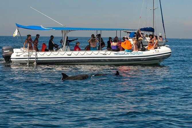 Whale and Dolphin Watching with a Biologist in Puerto Vallarta - Frequently Asked Questions
