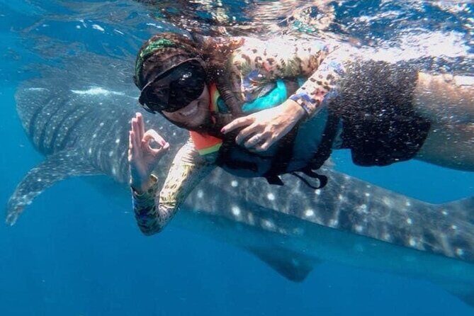 Whale shark Experience in the Caribbean Sea from Playa del Carmen - A Closer Look at the Experience