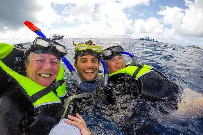 Whale Shark Tour from Cancun, Playa del Carmen, Tulum and Riviera Maya - Who Is This Tour Best For?