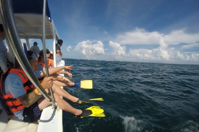 Whale Shark Tour Isla Mujeres - Frequently Asked Questions