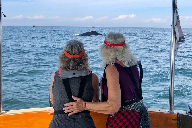 Whale Watching Experience  4 Hours in Puerto Vallarta - The Itinerary Breakdown