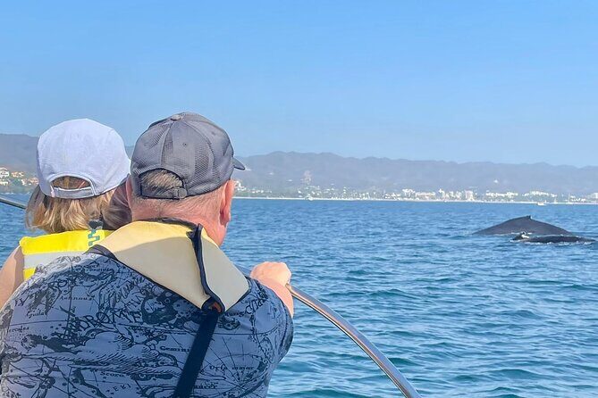 Whale Watching Experience in Puerto Vallarta - Final Thoughts