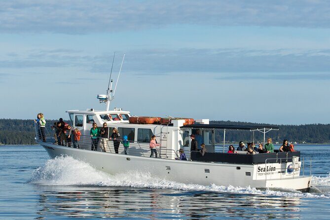 Whale Watching from Friday Harbor - The Sum Up