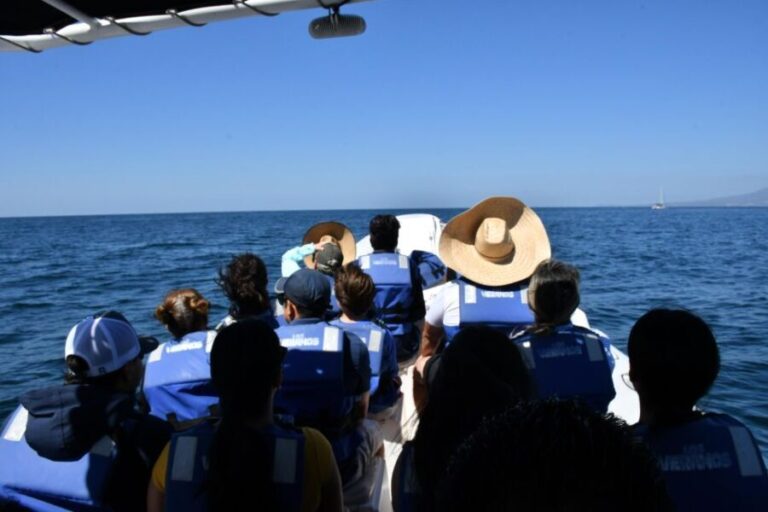 Whale Watching Guaranteed Experience in Puerto Vallarta - The Sum Up