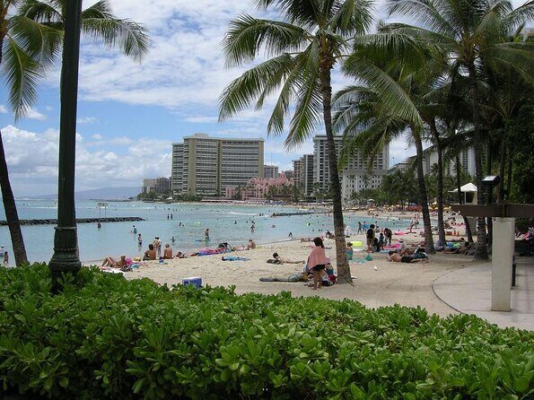 Whale Watching & Late Breakfast Cruise in Honolulu - Marine Life and Wildlife Encounters