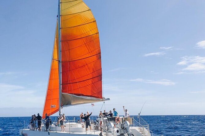 Whale Watching Sail in Honolulu with Open Bar - The Itinerary in Detail